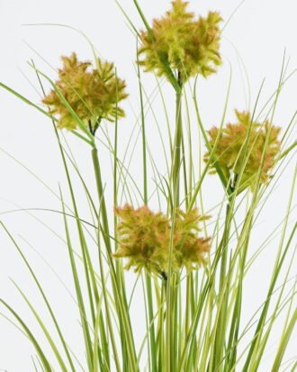 Artificial Grass 40*40*70cm Convexutricle sedge herb *4 in pp pot GS-61924036-PET 2024Jun YeahFlower is one of Chinese leading OEM manufacturers and exporters , supplying the silk flowers, wholesale artificial trees Artificial Grass 40*40*70cm Convexutricle sedge herb *4 in pp pot GS-61924036-PET 2024Jun YeahFlower is one of Chinese leading OEM manufacturers and exporters , supplying the silk flowers, wholesale artificial trees