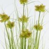 Artificial Grass 55*55*120cm Convexutricle sedge herb *7 in pp pot GS-61924034-PET 2024Jun YeahFlower is one of Chinese leading OEM manufacturers and exporters , supplying the silk flowers, wholesale artificial trees