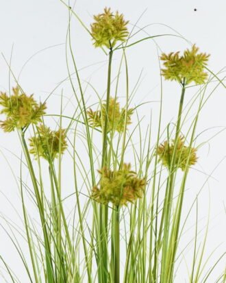 Artificial Grass 55*55*120cm Convexutricle sedge herb *7 in pp pot GS-61924034-PET 2024Jun YeahFlower is one of Chinese leading OEM manufacturers and exporters , supplying the silk flowers, wholesale artificial trees Artificial Grass 55*55*120cm Convexutricle sedge herb *7 in pp pot GS-61924034-PET 2024Jun YeahFlower is one of Chinese leading OEM manufacturers and exporters , supplying the silk flowers, wholesale artificial trees