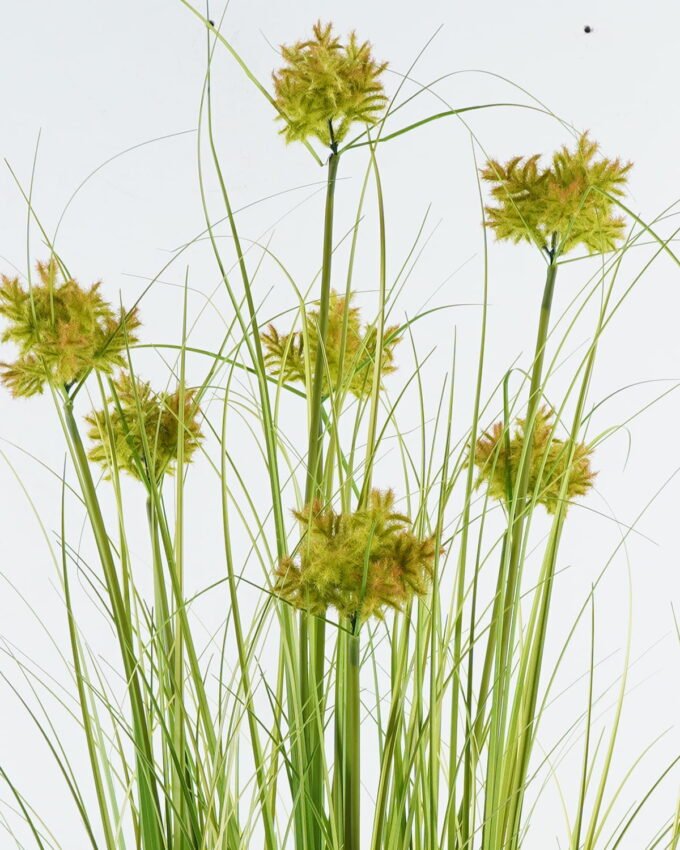 Artificial Grass 55*55*120cm Convexutricle sedge herb *7 in pp pot GS-61924034-PET 2024Jun YeahFlower is one of Chinese leading OEM manufacturers and exporters , supplying the silk flowers, wholesale artificial trees