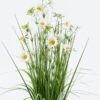 Artificial Grass 21*21*74cm Daisy *12 potted grass GS-29424035 2024Jun YeahFlower is one of Chinese leading OEM manufacturers and exporters , supplying the silk flowers, wholesale artificial trees
