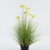 Artificial Grass 50*50*58cm Flower *5 in PP pot GS-45724005-Y1 2024Jun YeahFlower is one of Chinese leading OEM manufacturers and exporters , supplying the silk flowers, wholesale artificial trees