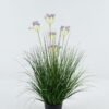 Artificial Grass 50*50*58cm Flower *5 in PP pot GS-45724005-Z1 2024Jun YeahFlower is one of Chinese leading OEM manufacturers and exporters , supplying the silk flowers, wholesale artificial trees