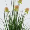 Artificial Grass 41*41*58cm Grass *5 in PP pot GS-45724003-P1 2024Jun YeahFlower is one of Chinese leading OEM manufacturers and exporters , supplying the silk flowers, wholesale artificial trees