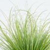 Artificial Grass 50*50*51cm Grass in Epe Seating GS-29424071 2024Jun YeahFlower is one of Chinese leading OEM manufacturers and exporters , supplying the silk flowers, wholesale artificial trees