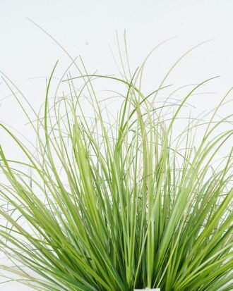 Artificial Grass 50*50*51cm Grass in Epe Seating GS-29424071 2024Jun YeahFlower is one of Chinese leading OEM manufacturers and exporters , supplying the silk flowers, wholesale artificial trees