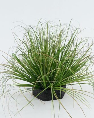 Artificial Grass 34*34*41cm Grass in Epe Seating GS-29424073 2024Jun YeahFlower is one of Chinese leading OEM manufacturers and exporters , supplying the silk flowers, wholesale artificial trees