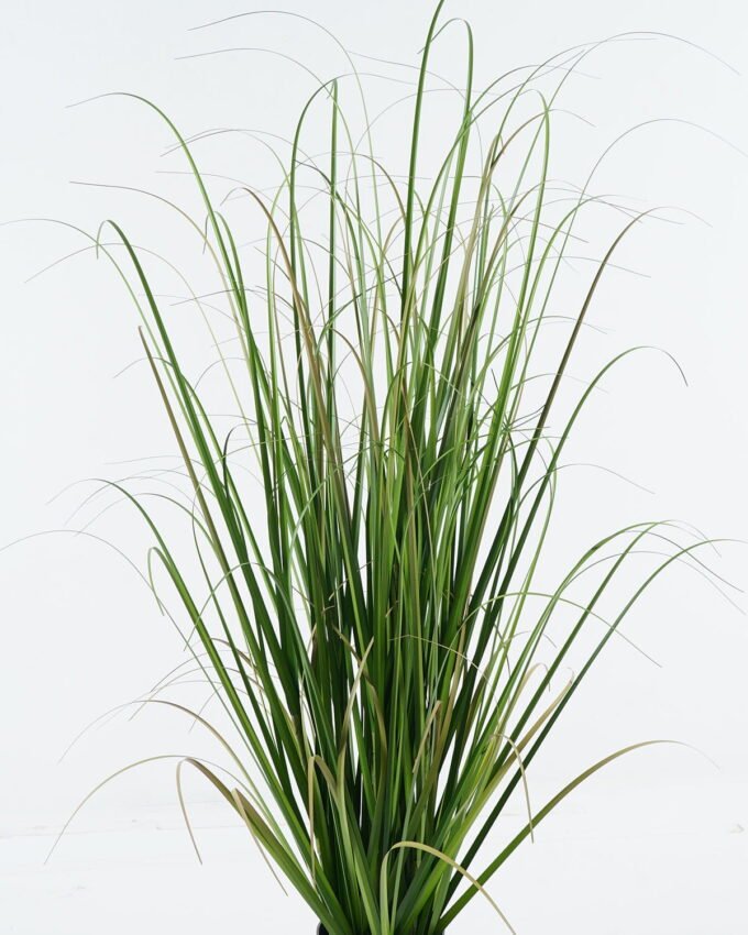 Artificial Grass 26*26*100cm Grass in pp pot GS-29424062 2024Jun YeahFlower is one of Chinese leading OEM manufacturers and exporters , supplying the silk flowers, wholesale artificial trees