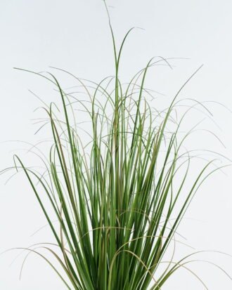 Artificial Grass 25*25*80cm Grass in pp pot GS-29424063 2024Jun YeahFlower is one of Chinese leading OEM manufacturers and exporters , supplying the silk flowers, wholesale artificial trees