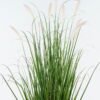 Artificial Grass 35*35*107cm Setaria viridis *10 in pp pot GS-29424065 2024Jun YeahFlower is one of Chinese leading OEM manufacturers and exporters , supplying the silk flowers, wholesale artificial trees