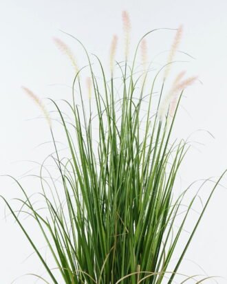 Artificial Grass 35*35*107cm Setaria viridis *10 in pp pot GS-29424065 2024Jun YeahFlower is one of Chinese leading OEM manufacturers and exporters , supplying the silk flowers, wholesale artificial trees