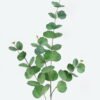 Artificial Plant 18*86 single eucalyptus spray*4 GS-15419041-G2 Leaves&Sprays&Foliages 3,000+ sqm showroom with thousands of artificial flowers, plants & trees ready for global sourcing.