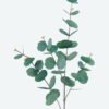 Artificial Plant 18*86 single eucalyptus spray*4 GS-15419041-G3 2024Jun YeahFlower is one of Chinese leading OEM manufacturers and exporters , supplying the silk flowers, wholesale artificial trees