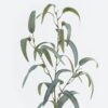 Artificial Plant 94cm Leaf single stem GS-29822064-G1 2024Jun YeahFlower is one of Chinese leading OEM manufacturers and exporters , supplying the silk flowers, wholesale artificial trees