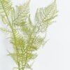 Artificial Plant 13*13*90cm Asparagus single stem GS-74724001 2024Jun YeahFlower is one of Chinese leading OEM manufacturers and exporters , supplying the silk flowers, wholesale artificial trees