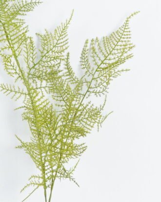 Artificial Plant 13*13*90cm Asparagus single stem GS-74724001 2024Jun YeahFlower is one of Chinese leading OEM manufacturers and exporters , supplying the silk flowers, wholesale artificial trees