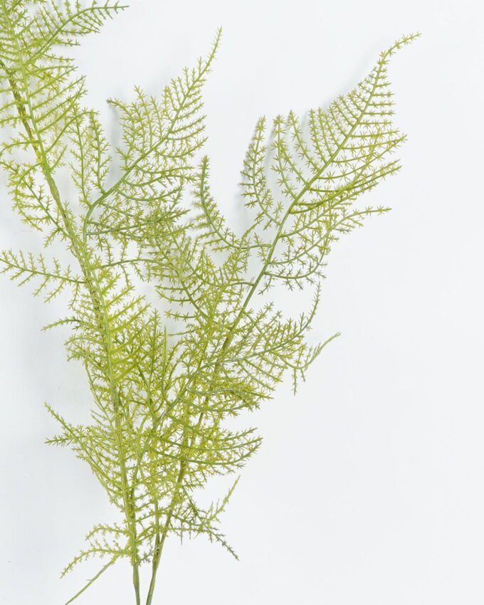 Artificial Plant 13*13*90cm Asparagus single stem GS-74724001 2024Jun YeahFlower is one of Chinese leading OEM manufacturers and exporters , supplying the silk flowers, wholesale artificial trees