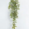 Artificial Plant Epipremnum aureum 5 hanging GS-36624007-G3_4 Artificial Plant 23*23*67cm Epipremnum aureum *5 hanging GS-36624007-G3 2024Jun YeahFlower is one of Chinese leading OEM manufacturers and exporters , supplying the silk flowers, wholesale artificial trees