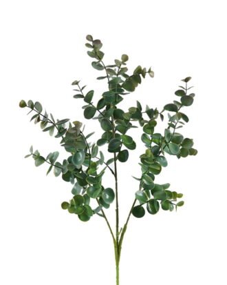 Artificial Plant 18*18*65cm Euca *3 spray GS-36624005 2024Jun YeahFlower is one of Chinese leading OEM manufacturers and exporters , supplying the silk flowers, wholesale artificial trees Artificial Plant 18*18*65cm Euca *3 spray GS-36624005 2024Jun YeahFlower is one of Chinese leading OEM manufacturers and exporters , supplying the silk flowers, wholesale artificial trees