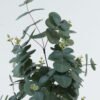 Artificial Plant 30*30*65cm Eucalyptus Leaf in pot GS-29824007 2024Jun YeahFlower is one of Chinese leading OEM manufacturers and exporters , supplying the silk flowers, wholesale artificial trees