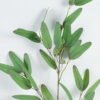 Artificial Plant 24*24*95cm Eucalyptus leaf *3 spray GS-15424018-G2 2024Jul YeahFlower is one of Chinese leading OEM manufacturers and exporters , supplying the silk flowers, wholesale artificial trees