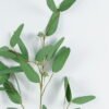 Artificial Plant 24*24*95cm Eucalyptus leaf *3 spray GS-15424018 2024Jul YeahFlower is one of Chinese leading OEM manufacturers and exporters , supplying the silk flowers, wholesale artificial trees
