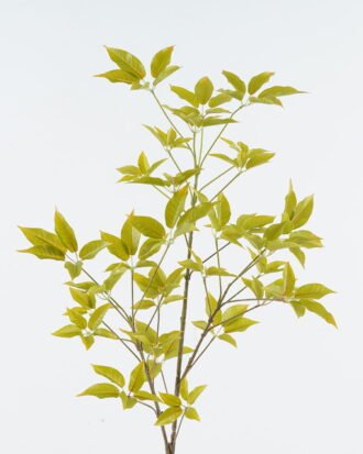 Artificial Plant 33*33*102cm Holly leaves single stem GS-70224001-Y1 2024Jun YeahFlower is one of Chinese leading OEM manufacturers and exporters , supplying the silk flowers, wholesale artificial trees Artificial Plant 33*33*102cm Holly leaves single stem GS-70224001-Y1 2024Jun YeahFlower is one of Chinese leading OEM manufacturers and exporters , supplying the silk flowers, wholesale artificial trees