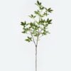 Artificial Plant Holly leaves single stem GS-70224001_4 Artificial Plant 33*33*102cm Holly leaves single stem GS-70224001 2024Jun YeahFlower is one of Chinese leading OEM manufacturers and exporters , supplying the silk flowers, wholesale artificial trees