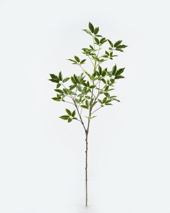 Artificial Plant Holly leaves single stem GS-70224001_4 Artificial Plant 33*33*102cm Holly leaves single stem GS-70224001 2024Jun YeahFlower is one of Chinese leading OEM manufacturers and exporters , supplying the silk flowers, wholesale artificial trees