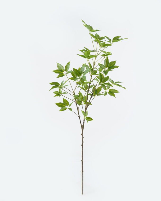 Artificial Plant Holly leaves single stem GS-70224001_5 Artificial Plant 33*33*102cm Holly leaves single stem GS-70224001 2024Jun YeahFlower is one of Chinese leading OEM manufacturers and exporters , supplying the silk flowers, wholesale artificial trees