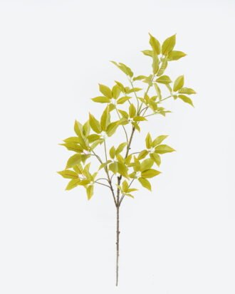 Artificial Plant 25*25*75cm Holly leaves single stem GS-70224002 2024Jun YeahFlower is one of Chinese leading OEM manufacturers and exporters , supplying the silk flowers, wholesale artificial trees Artificial Plant 25*25*75cm Holly leaves single stem GS-70224002 2024Jun YeahFlower is one of Chinese leading OEM manufacturers and exporters , supplying the silk flowers, wholesale artificial trees