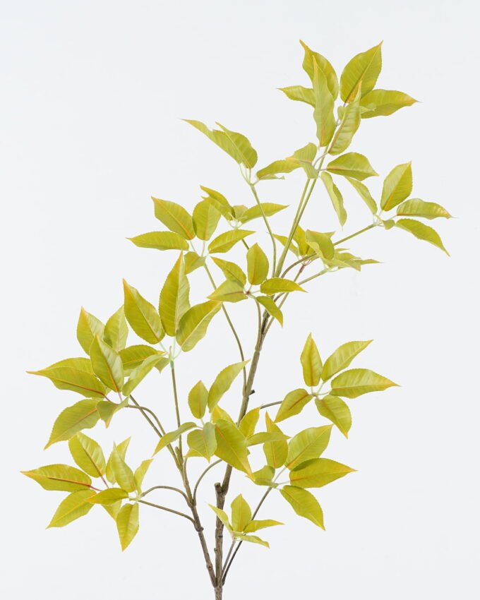 Artificial Plant Holly leaves single stem GS-70224002_3 Artificial Plant 25*25*75cm Holly leaves single stem GS-70224002 2024Jun YeahFlower is one of Chinese leading OEM manufacturers and exporters , supplying the silk flowers, wholesale artificial trees