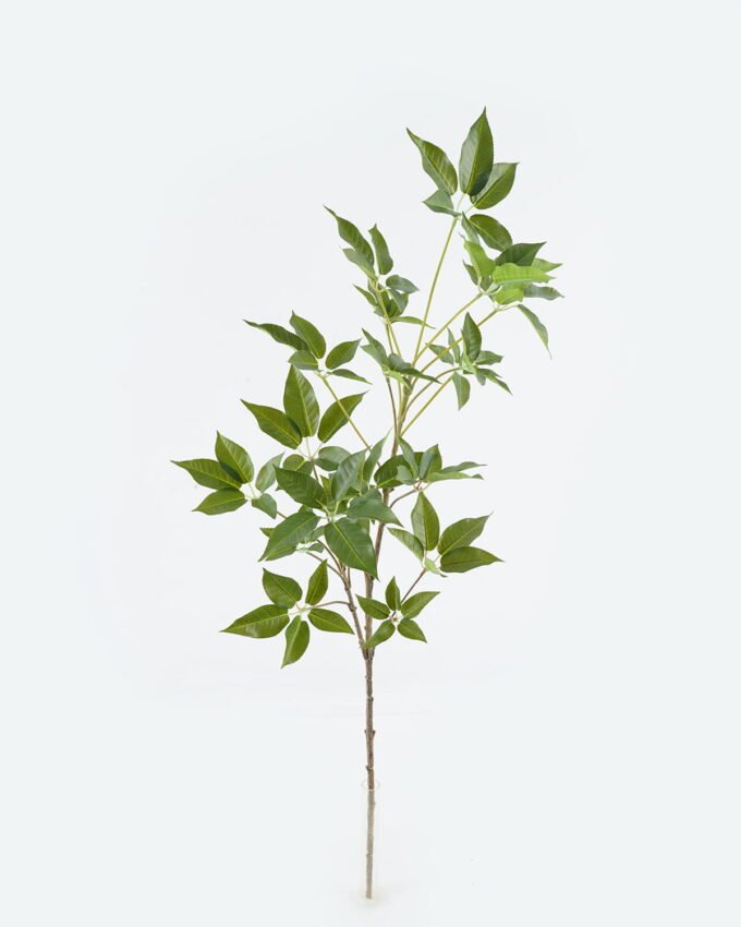 Artificial Plant Holly leaves single stem GS-70224002_5 Artificial Plant 25*25*75cm Holly leaves single stem GS-70224002 2024Jun YeahFlower is one of Chinese leading OEM manufacturers and exporters , supplying the silk flowers, wholesale artificial trees