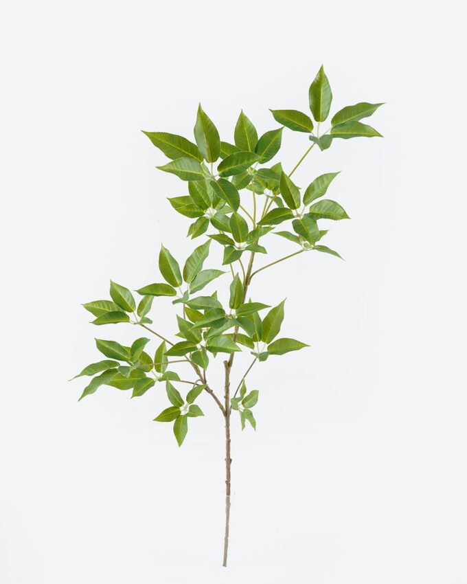 Artificial Plant Holly leaves single stem GS-70224002_6 Artificial Plant 25*25*75cm Holly leaves single stem GS-70224002 2024Jun YeahFlower is one of Chinese leading OEM manufacturers and exporters , supplying the silk flowers, wholesale artificial trees