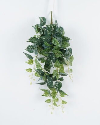Artificial Plant 40*40*80cm Leaf *11 hanging /146 lvs GS-29824022 2024Jul YeahFlower is one of Chinese leading OEM manufacturers and exporters , supplying the silk flowers, wholesale artificial trees Artificial Plant 40*40*80cm Leaf *11 hanging /146 lvs GS-29824022 2024Jul YeahFlower is one of Chinese leading OEM manufacturers and exporters , supplying the silk flowers, wholesale artificial trees
