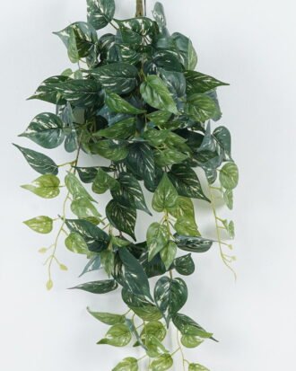 Artificial Plant 40*40*80cm Leaf *11 hanging /146 lvs GS-29824022 2024Jul YeahFlower is one of Chinese leading OEM manufacturers and exporters , supplying the silk flowers, wholesale artificial trees Artificial Plant 40*40*80cm Leaf *11 hanging /146 lvs GS-29824022 2024Jul YeahFlower is one of Chinese leading OEM manufacturers and exporters , supplying the silk flowers, wholesale artificial trees