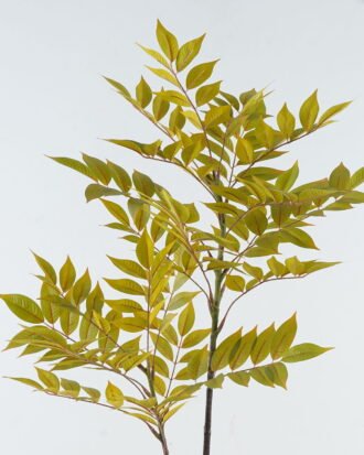 Artificial Plant 37*37*109cm Leaf *2 single stem *216 lvs GS-29824010-G2 2024Jun YeahFlower is one of Chinese leading OEM manufacturers and exporters , supplying the silk flowers, wholesale artificial trees