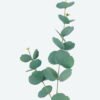 Artificial Plant 13*13*75cm Leaf *2 single stem GS-15423037-G2 2024Jun YeahFlower is one of Chinese leading OEM manufacturers and exporters , supplying the silk flowers, wholesale artificial trees