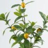 Artificial Plant 35*35*74cm Lemon Tree in pot GS-70123040 2024Jun YeahFlower is one of Chinese leading OEM manufacturers and exporters , supplying the silk flowers, wholesale artificial trees