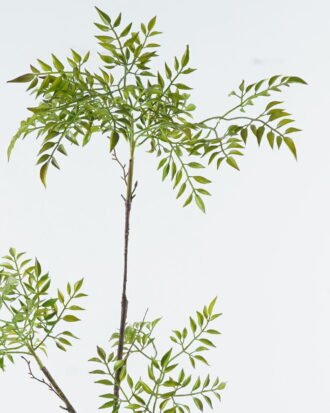 Artificial Plant 46*46*131cm Nandina *s spray GS-74724007 2024Jun YeahFlower is one of Chinese leading OEM manufacturers and exporters , supplying the silk flowers, wholesale artificial trees