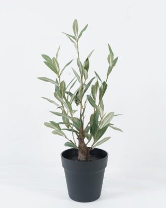 Artificial Plant 24*24*50cm Olive in PP pot/84 lvs GS-59524016 2024Jul YeahFlower is one of Chinese leading OEM manufacturers and exporters , supplying the silk flowers, wholesale artificial trees Artificial Plant 24*24*50cm Olive in PP pot/84 lvs GS-59524016 2024Jul YeahFlower is one of Chinese leading OEM manufacturers and exporters , supplying the silk flowers, wholesale artificial trees