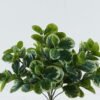 Artificial Plant 39*39*45cm Peperomia *12 bush *144 lvs GS-29824009 2024Jun YeahFlower is one of Chinese leading OEM manufacturers and exporters , supplying the silk flowers, wholesale artificial trees