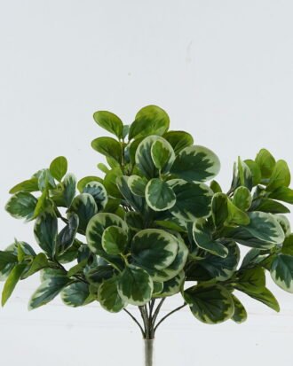 Artificial Plant 39*39*45cm Peperomia *12 bush *144 lvs GS-29824009 2024Jun YeahFlower is one of Chinese leading OEM manufacturers and exporters , supplying the silk flowers, wholesale artificial trees