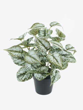 Artificial Plant 30*30*65cm Eucalyptus Leaf in pot GS-29824007 Potted Flowers&Plants 3,000+ sqm showroom with thousands of artificial flowers, plants & trees ready for global sourcing.