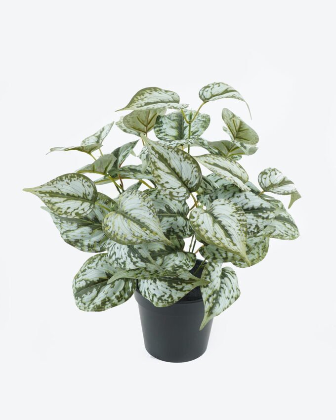 Artificial Table Plants 36*36*37cm Epipremnum aureum in PP pot GS-03324006 2024Jun YeahFlower is one of Chinese leading OEM manufacturers and exporters , supplying the silk flowers, wholesale artificial trees