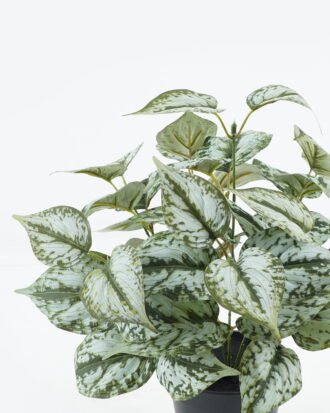 Artificial Table Plants 36*36*37cm Epipremnum aureum in PP pot GS-03324006 2024Jun YeahFlower is one of Chinese leading OEM manufacturers and exporters , supplying the silk flowers, wholesale artificial trees Artificial Table Plants 36*36*37cm Epipremnum aureum in PP pot GS-03324006 2024Jun YeahFlower is one of Chinese leading OEM manufacturers and exporters , supplying the silk flowers, wholesale artificial trees