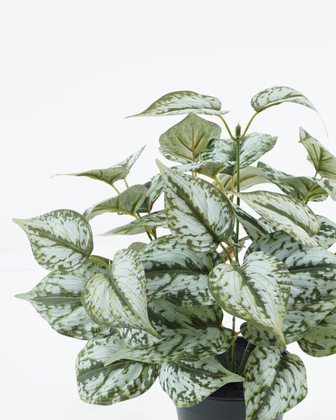 Artificial Table Plants 36*36*37cm Epipremnum aureum in PP pot GS-03324006 2024Jun YeahFlower is one of Chinese leading OEM manufacturers and exporters , supplying the silk flowers, wholesale artificial trees