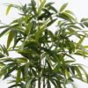 Artificial Tree 150cm Bamboo *5 in pp pot GS-30424003 2024Jun YeahFlower is one of Chinese leading OEM manufacturers and exporters , supplying the silk flowers, wholesale artificial trees