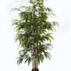 Artificial Tree 180cm Bamboo 7 in pp pot GS-30424004_1 Artificial Tree 180cm Bamboo *7 in pp pot GS-30424004 2024Jun YeahFlower is one of Chinese leading OEM manufacturers and exporters , supplying the silk flowers, wholesale artificial trees