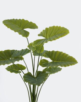 Artificial Tree 70*70*110cm Alocasia macrorrhiza in pp pot/*10 lvs GS-10724001 Tree&Plant 3,000+ sqm showroom with thousands of artificial flowers, plants & trees ready for global sourcing.